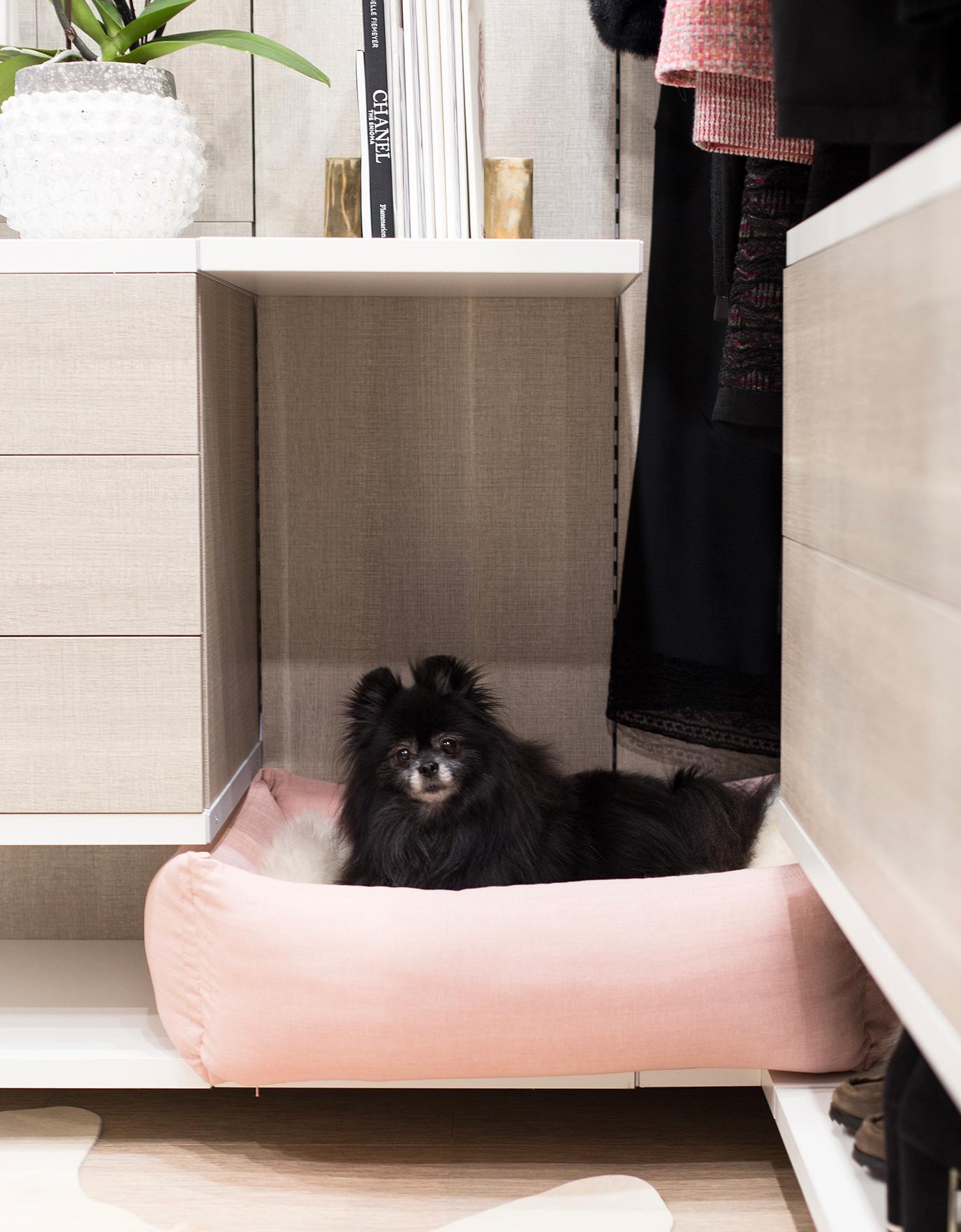 Armario personalizado para Jude Miyashiro completo con un estante para cama para perros de California Closets