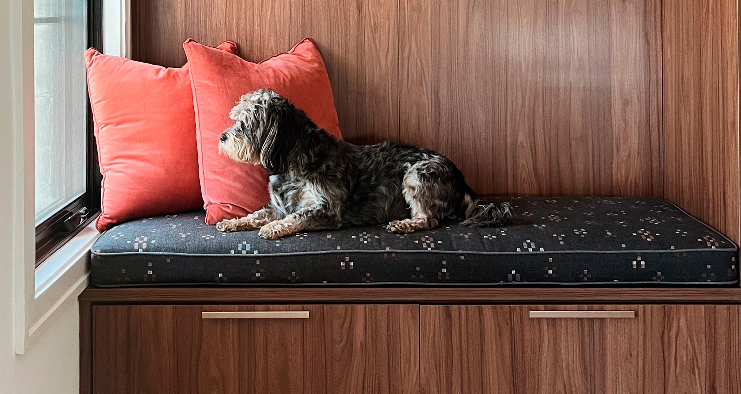 Repisas empotradas personalizadas en una sala de estar con acabado en madera oscura y herrajes dorados de California Closets